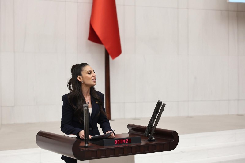 Milletvekili Özcan’dan TOKİ’ye Muğla tepkisi